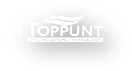 Kapsalon 't Toppunt